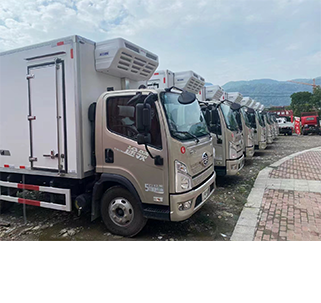 0c79cd02-7850-4dfa-a9e9-1e637be40ffa